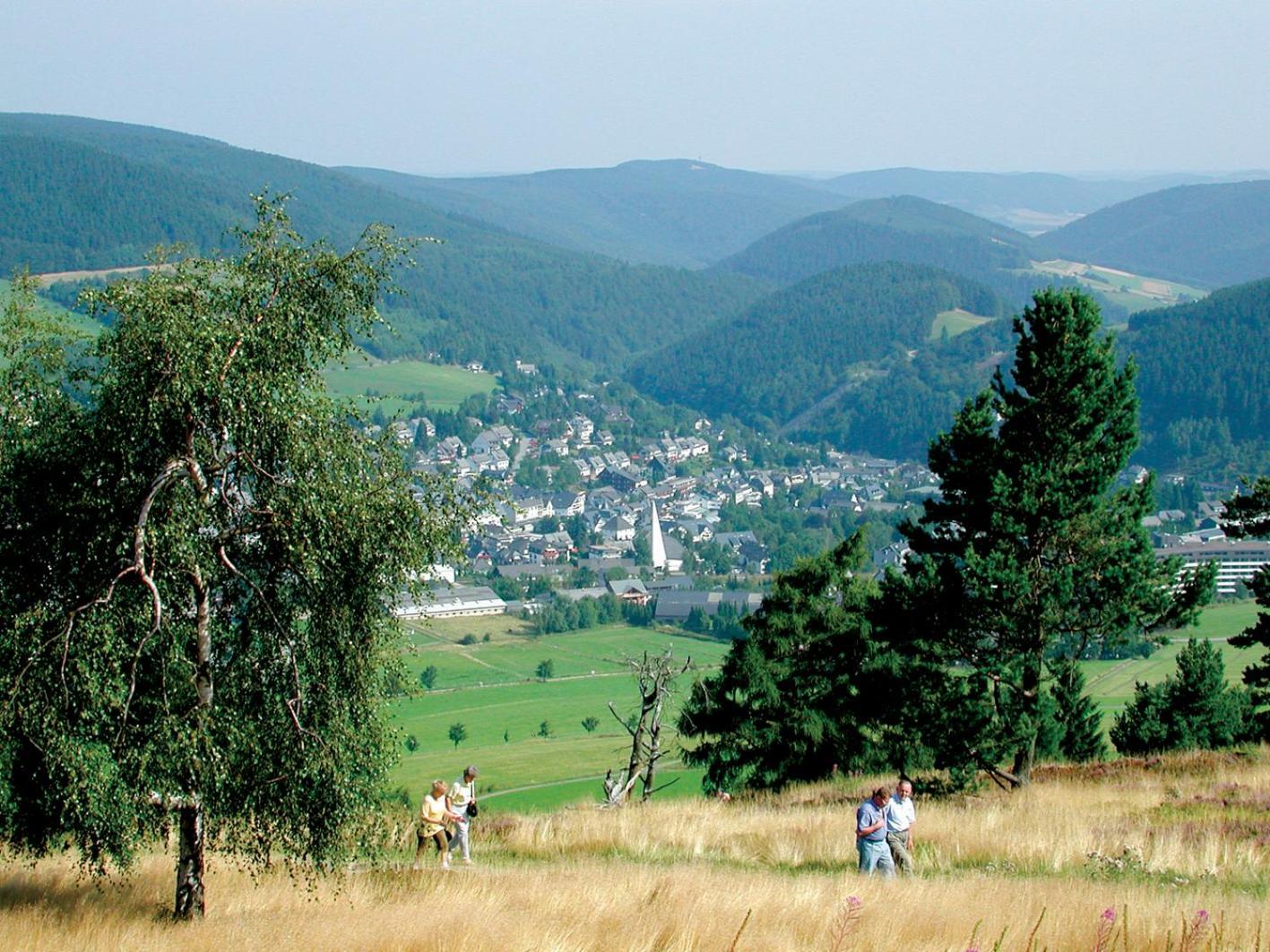 Ferienhaus Diemelquelle - Mit Eingezaeuntem Garten Willingen  Exterior photo